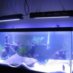 Галогенное и аквариумное освещение